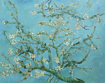 Blossoming Almond Tree reproduction