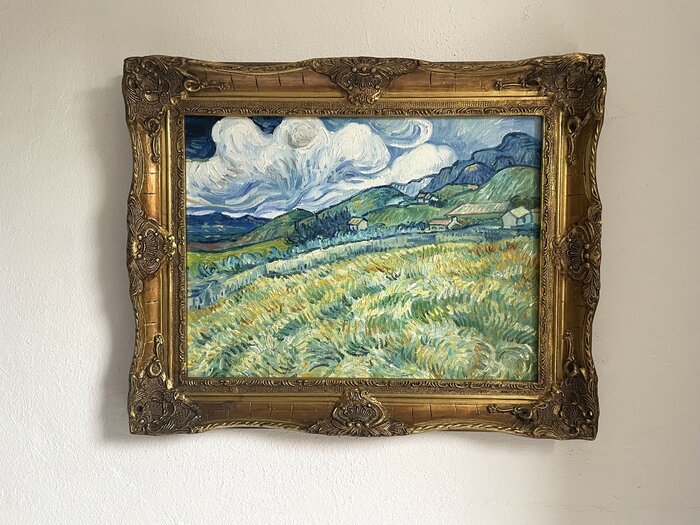 Berglandschap Achter Het Saint Paul Ziekenhuis Ingelijste Van Gogh Reproductie Van Gogh Studio